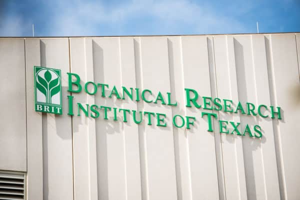 Botanical Research Institute Of Texas - Marcoza Castings