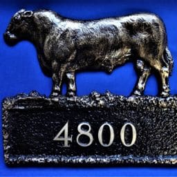 Cattle-bronze-address-plate-scaled - Marcoza Castings