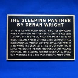 Sleep Panther Fort Worth