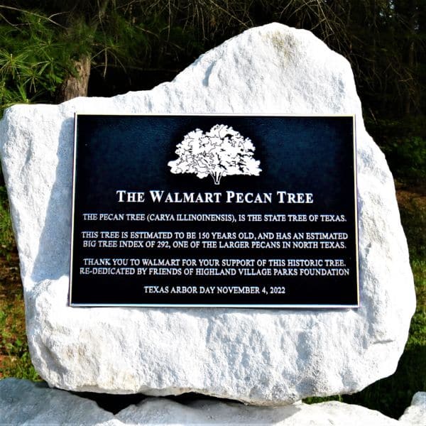 Walmart Pecan Tree - MARCOZA Castings