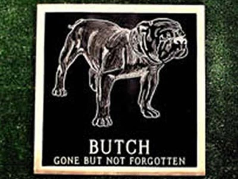 Bronze Pet Memorial